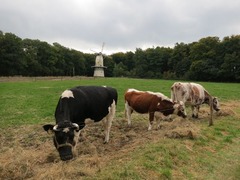 Openluchtmuseum62
