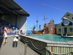 dolfinarium09