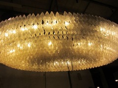 Goudfazant38