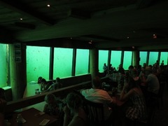 dolfinarium28