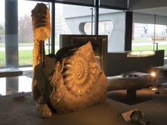Naturalis22