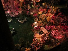 Efteling35