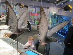 Naturalis59