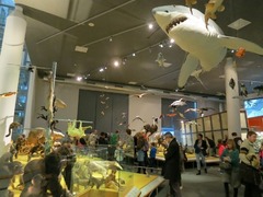 Naturalis11