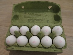 Egg03