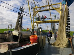Texel033