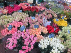 Flower10