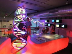 Naturalis41