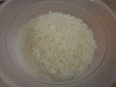 Rice03