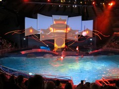 dolfinarium21