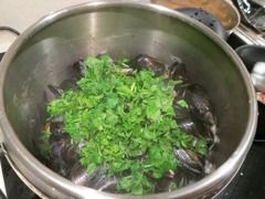 mussel04