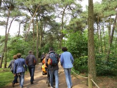 BeekseBergen33