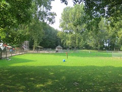 Aalsmeer12