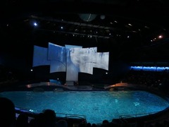 dolfinarium22