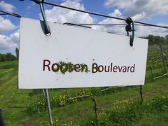 DeAmsteltuin13