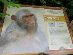 BeekseBergen21