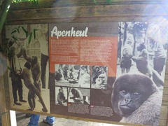 Apenheul74