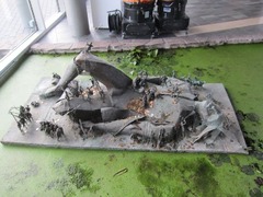 Madurodam56