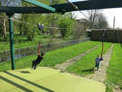 Linnaeushof36
