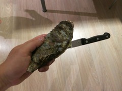 Oyster07