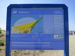 dolfinarium45