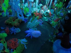 SeaMuseum50