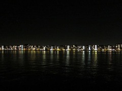 Goudfazant04