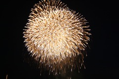 JapanDay11