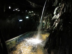 Sealife19
