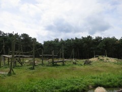 BeekseBergen22