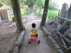 Aalsmeer13
