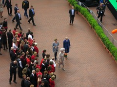 Koning39