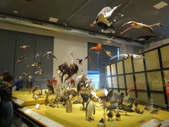 Naturalis12