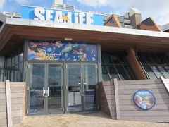 Sealife08
