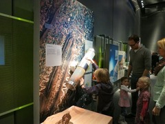 Naturalis39