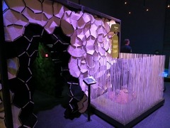 Naturalis51