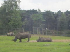 BeekseBergen09