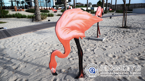 dubai_beach-3