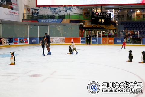 dubai_dubai-mall_ice-skate