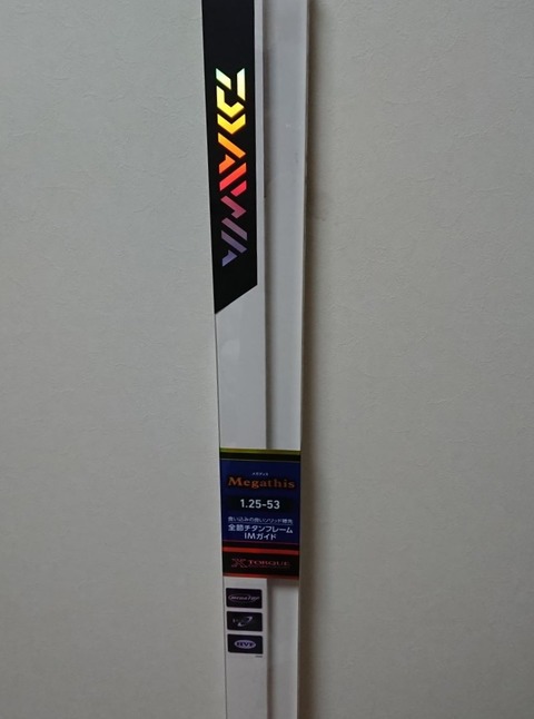2bf552c6-s.jpg