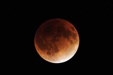 Luna Eclipse