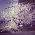 20140406