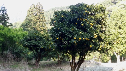 c7576c3a.jpg