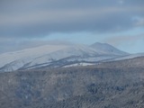 7b