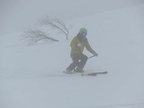 23b