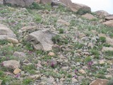 3a