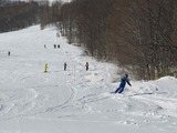 25b