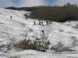 11b