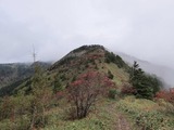1b