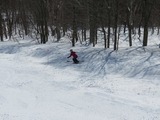 19b